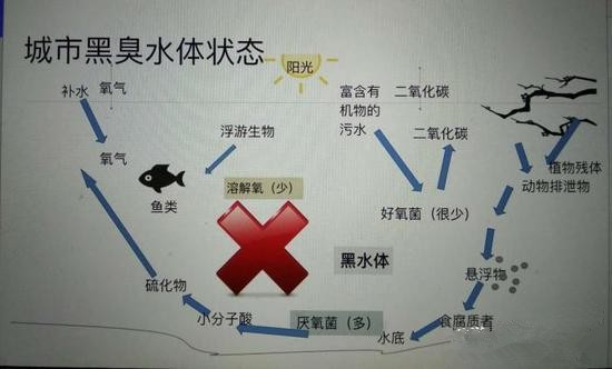 江蘇億元投資治污新技術(shù) 石墨烯能否治理黑臭水體？