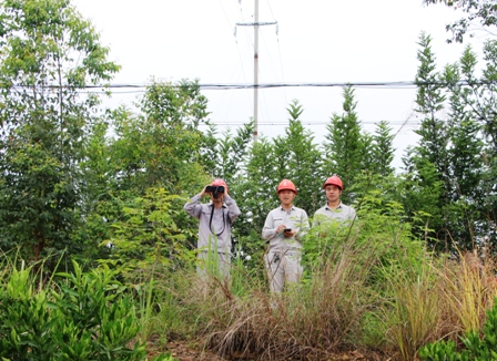 國(guó)網(wǎng)江永縣供電公司:負(fù)責(zé)人帶隊(duì)巡線，精施策護(hù)網(wǎng)保電