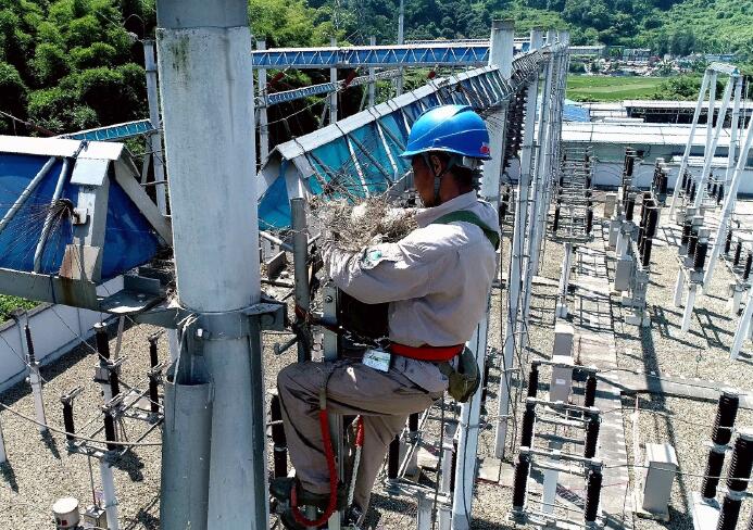 國(guó)網(wǎng)福安供電公司:帶電清理鳥(niǎo)窩 確保電網(wǎng)安全