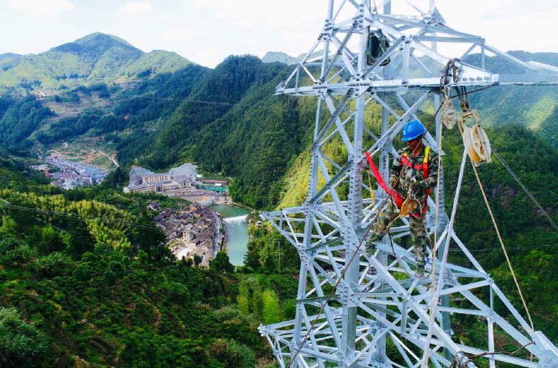 國網(wǎng)壽寧縣供電公司:“定制茶園”里的脫貧密碼