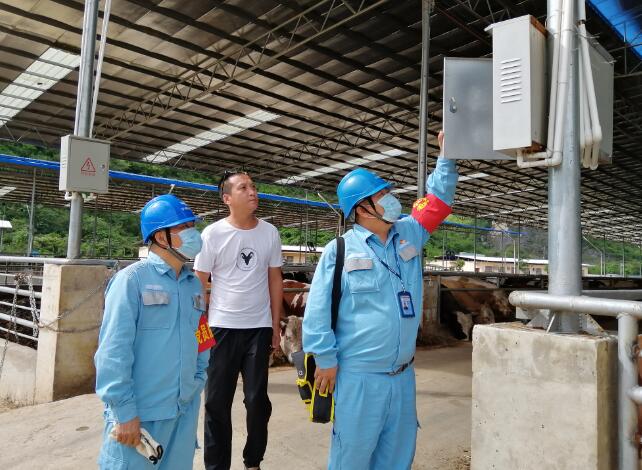 廣西寧明供電公司優(yōu)質(zhì)電力助力養(yǎng)殖事業(yè)越來越“?!? width=