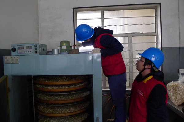 國網(wǎng)寧?？h供電公司：電力紅馬甲服務(wù)鄉(xiāng)村企業(yè) ，讓黃精變“黃金”