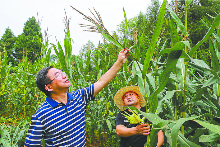 【全國脫貧攻堅(jiān)先進(jìn)個(gè)人】黃丹松:一片丹心為扶貧