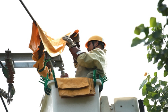 國(guó)網(wǎng)山東壽光供電:麥?zhǔn)諘r(shí)節(jié)熱浪襲 帶電消缺助豐收