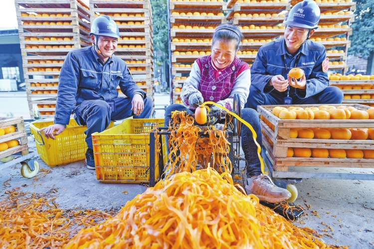 廣西電網(wǎng)公司:農(nóng)網(wǎng)持續(xù)提檔升級(jí) 電網(wǎng)之光點(diǎn)亮大美壯鄉(xiāng)