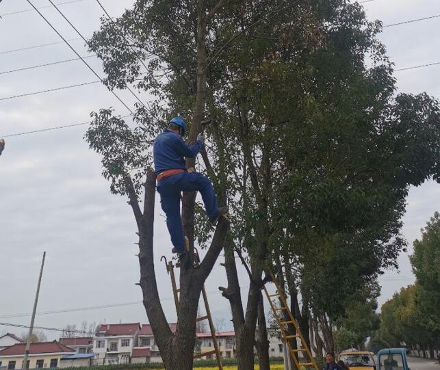 國(guó)網(wǎng)城固縣供電公司積極開展春季樹障清理工作，打通線路安全通道  　　中國(guó)電力網(wǎng)訊  陽(yáng)春三月，草長(zhǎng)鶯飛，又到了樹竹快速生長(zhǎng)的季節(jié)，茂密的樹木包裹10千伏及0.4千伏導(dǎo)線，“線樹”矛盾愈發(fā)嚴(yán)重，此時(shí)也正