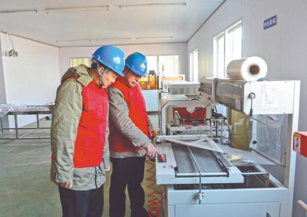 濱?？h供電公司：白首烏產(chǎn)業(yè)發(fā)展充上“滿格電”