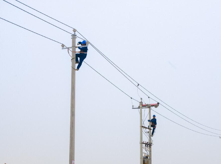 阿拉善供電公司：電網(wǎng)健康“體檢”，從登桿開始