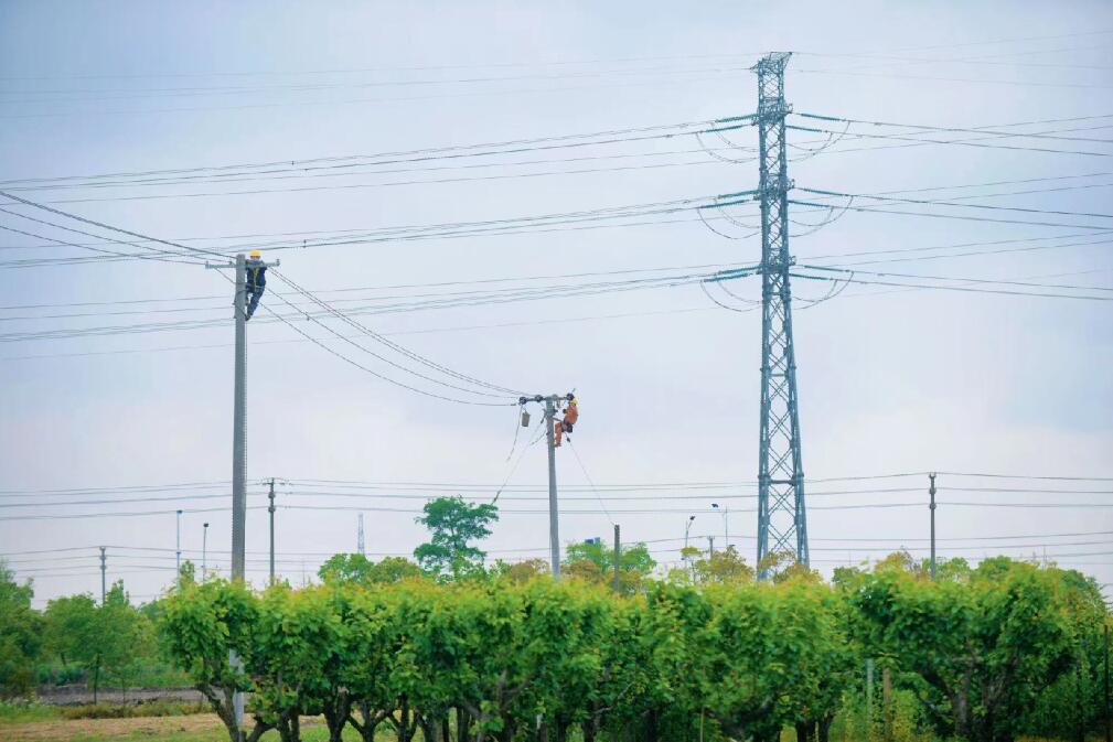 國網(wǎng)余姚市供電公司:小小榨菜頭 振興大產(chǎn)業(yè)