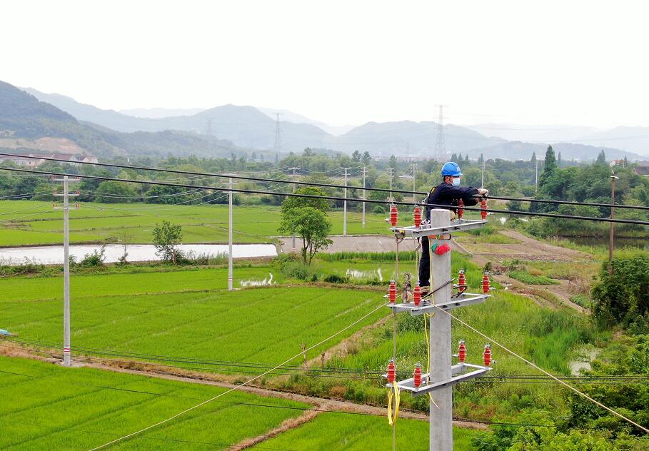 國網余姚市供電公司:電網升級改造 賦能夏收夏種