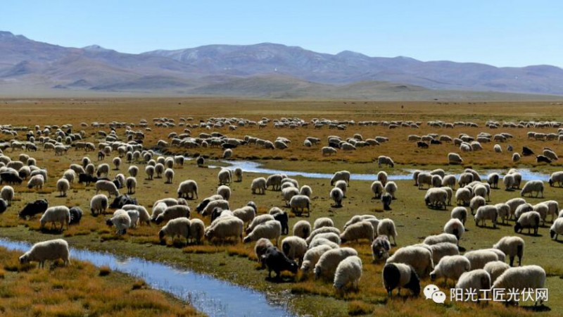 面積接近一個新加坡！青海塔拉灘光伏電站照亮“陽光之路”