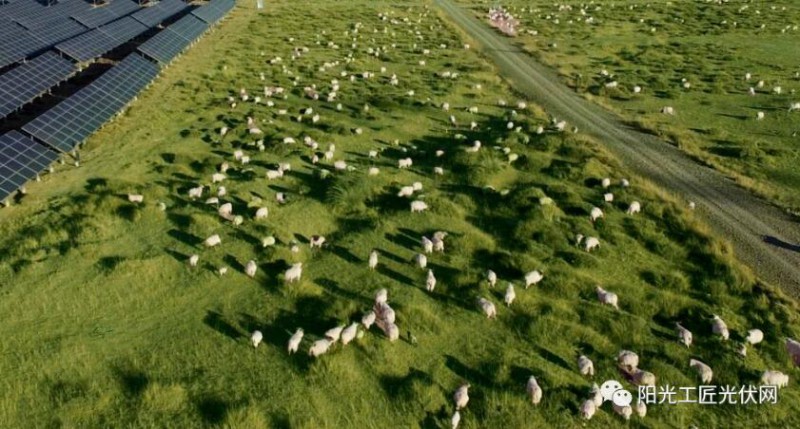 面積接近一個新加坡！青海塔拉灘光伏電站照亮“陽光之路”