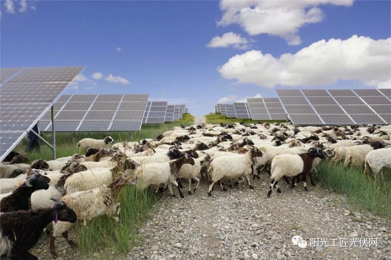 面積接近一個新加坡！青海塔拉灘光伏電站照亮“陽光之路”