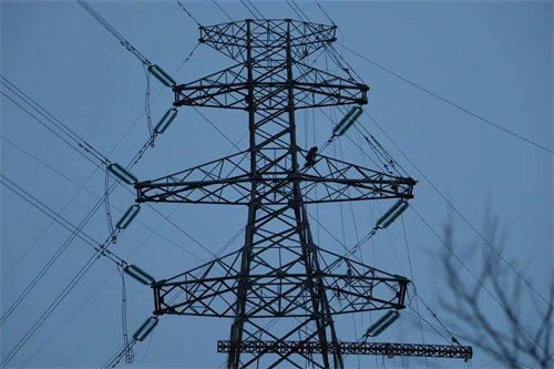 伊春供電公司:強化現(xiàn)場安全管控 高效推進工程建設