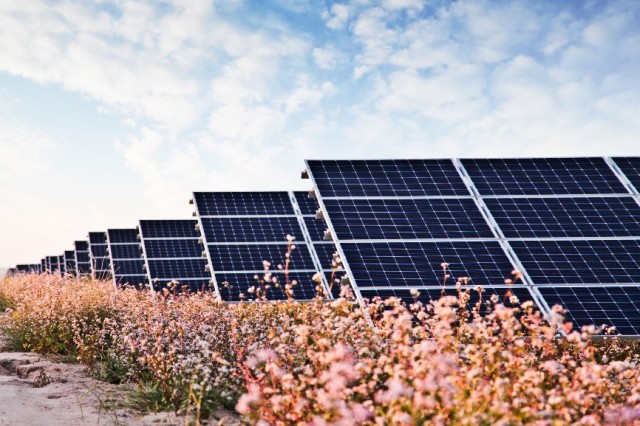 華能“嘗鮮”，攜隆基綠能打造高性價比光伏電站