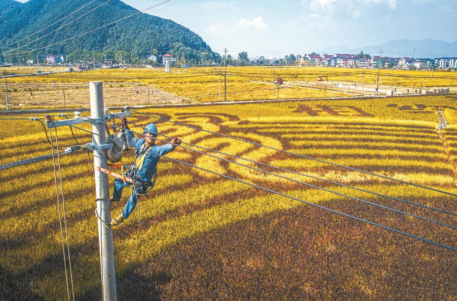 杭州富陽區(qū)供電公司改造升級農(nóng)網(wǎng)，服務(wù)農(nóng)業(yè)生產(chǎn)電氣化