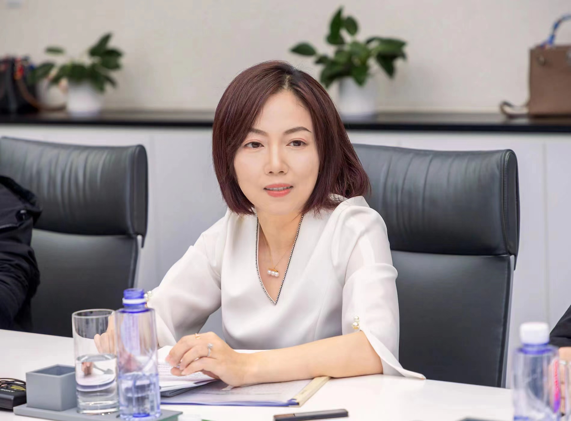 全國人大代表鐘錚:建議支持新型儲能發(fā)展 完善容量電費機制