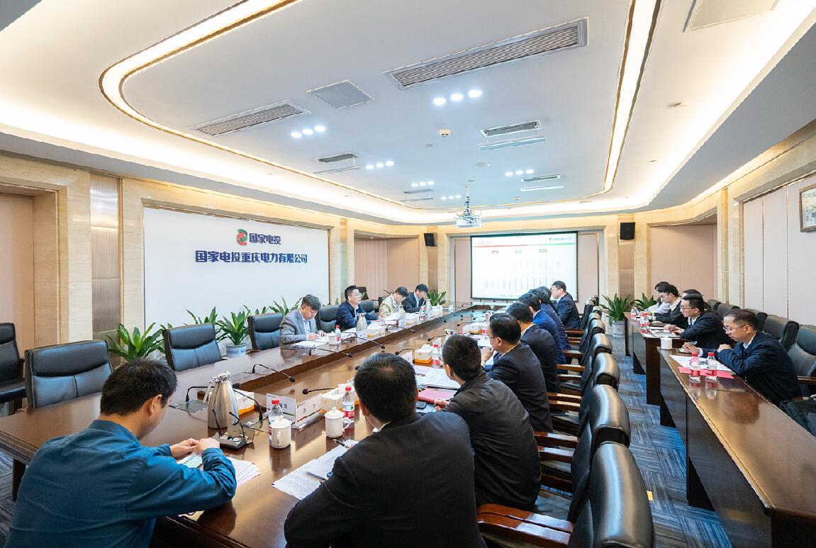 徐樹彪到重慶公司、遠達環(huán)保調(diào)研