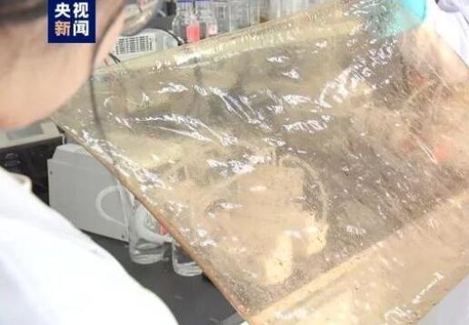 國產(chǎn)新型離子膜問世，有望在新能源的儲能領(lǐng)域廣泛應(yīng)用