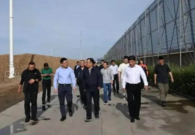 內(nèi)蒙古專項督查組蒞臨龍基生物質(zhì)熱電項目考察，助力鄉(xiāng)村振興發(fā)展