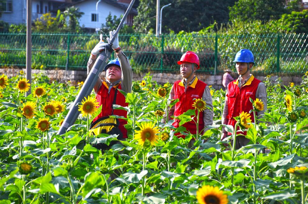 國網永泰縣供電公司“村網共建”譜寫鄉(xiāng)村振興協(xié)奏曲