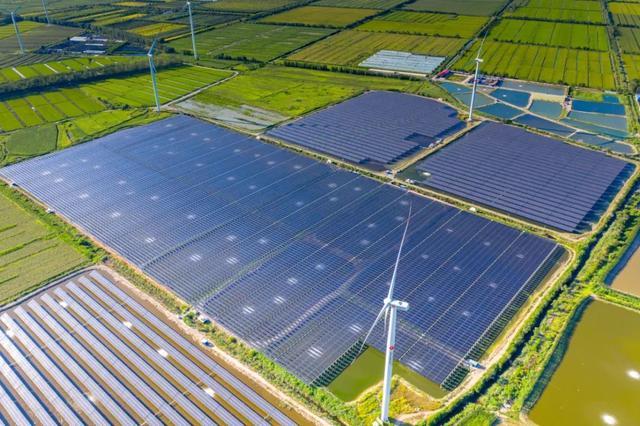 中國“雙碳”之路，要怎么走?