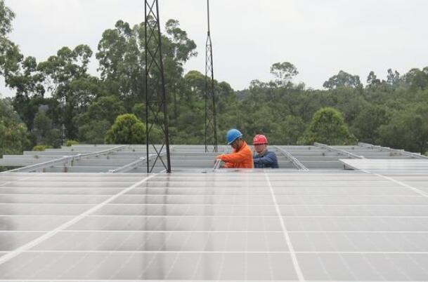 劉付喜:發(fā)揮行業(yè)優(yōu)勢 助力鄉(xiāng)村振興