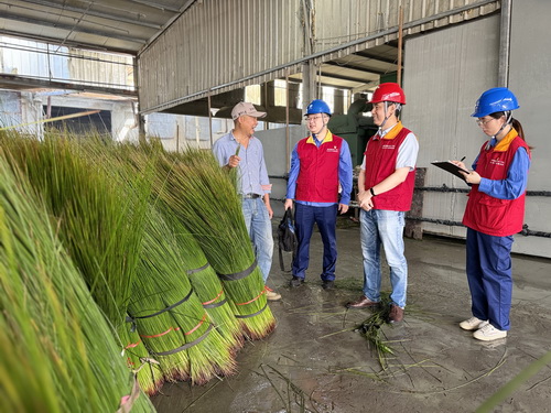 國網(wǎng)寧波供電公司海曙供電分公司:守護綠色“草”經(jīng)濟 電力服務(wù)跑出鄉(xiāng)村振興加速度