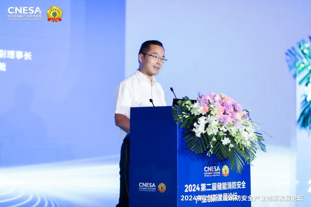 田慶軍:構(gòu)建新型能源體系需要更高安全儲能