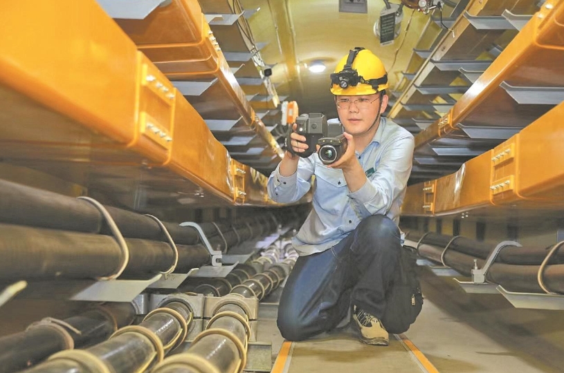 董力文:向下扎根,向上生長