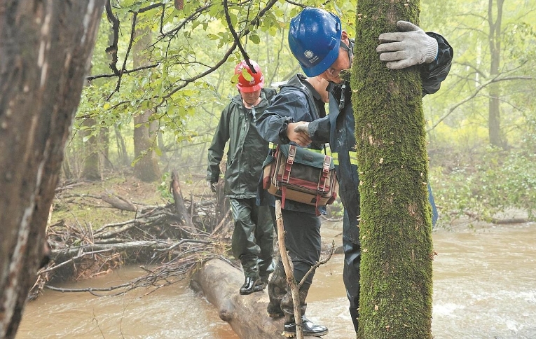 國網(wǎng)吉林電力:吉林受強(qiáng)降雨影響區(qū)域已全部恢復(fù)供電