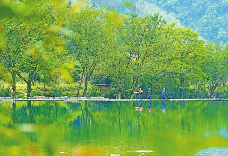 南方電網公司部署推進六大方面24項重點任務 加快實現(xiàn)綠色發(fā)展