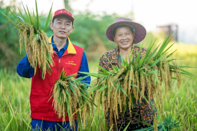 四川:電力賦能鄉(xiāng)村振興