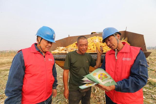 國(guó)網(wǎng)焦作供電公司:電力助秋收 描繪豐收景