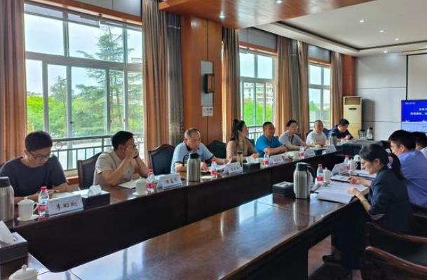 “氫”裝上陣，自貢市加快推動(dòng)氫能全產(chǎn)業(yè)鏈發(fā)展