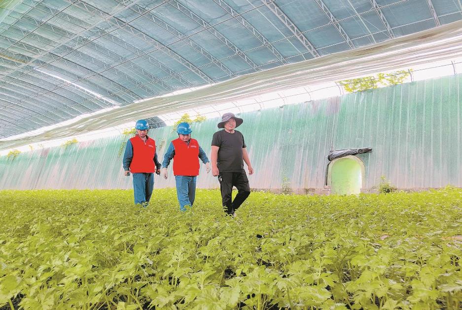 寧夏賀蘭縣：賀蘭山下，稻香魚肥