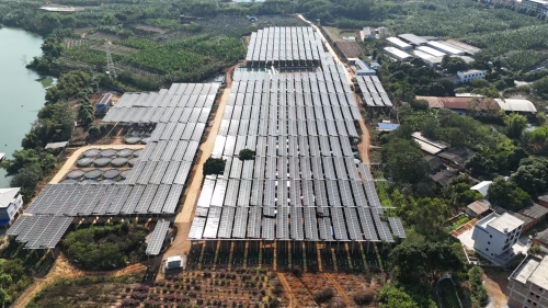 西鄉(xiāng)塘區(qū)金陵農光互補光伏發(fā)電項目全容量并網發(fā)電