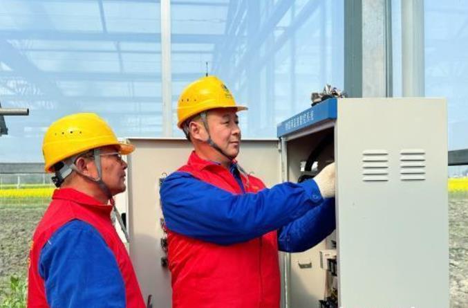 四川眉山:“竹里稻香”春耕忙 電力護(hù)航好春光