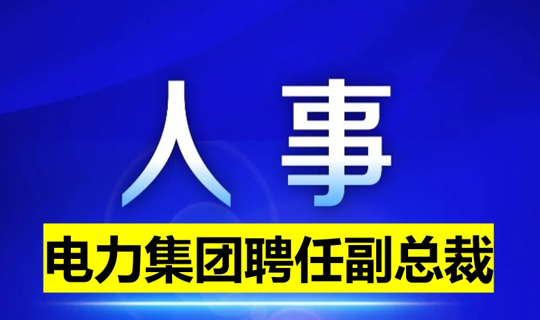 電力集團(tuán)聘任副總裁